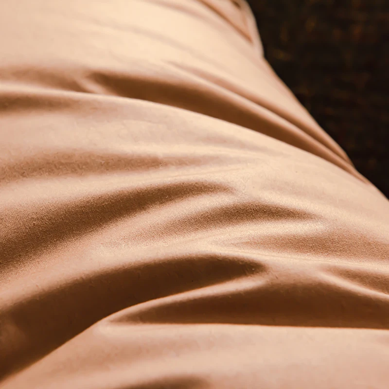 Goose Down Feather Pillows Luxury Protect Neck Spine Pillow 100% Cotton Cover Slow Rebound 1pc Soft Comfort Pillow for Sleeping