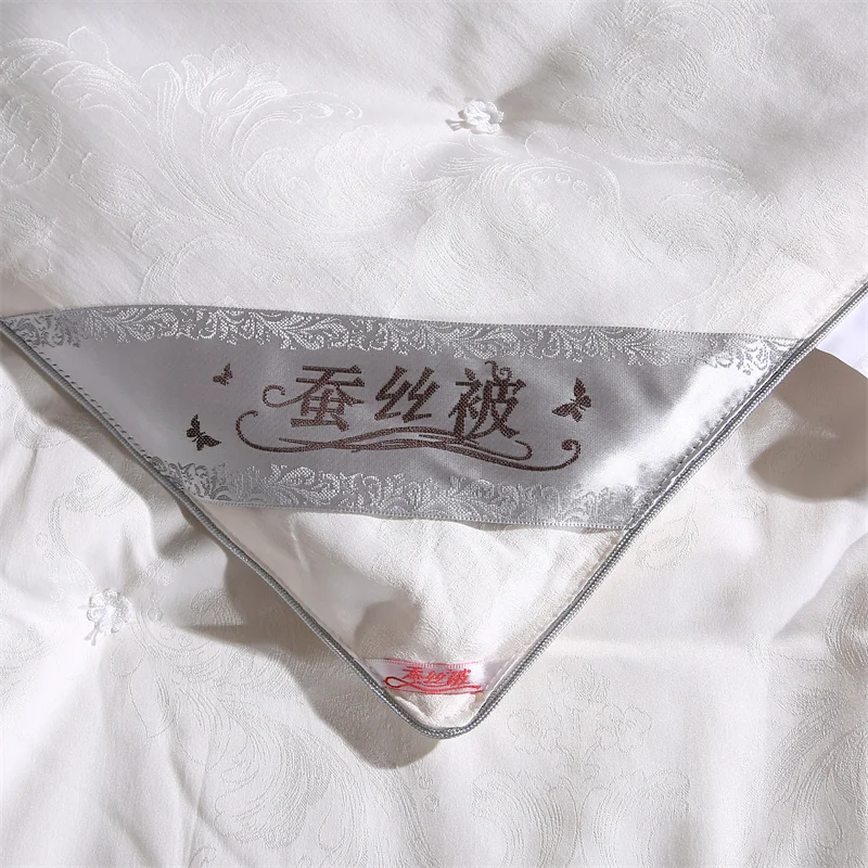 Luxury Mulberry Silk Quilt Comforter All Season Bed Blanket Jacquard 100% Silk Filling Quilts with 100% Cotton Cover Queen Duvet